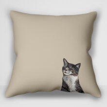 “کوسن گربه – طرح Feline Friends Happy Tabby اثر کتی والترز | کاور کوسن طرح تبی شاد”