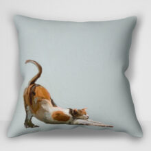 "کوسن گربه – طرح Feline Friends Stretchy Calico Framed اثر کتی والترز | کاور کوسن گربه کالیکو کشسان قاب‌شده"