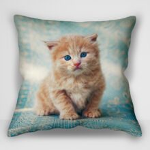 “کوسن بچه گربه _ اثر کریس پاشکه